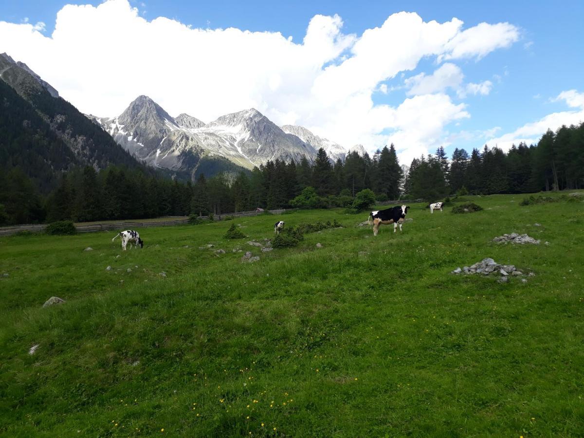 Unterreinischhof Anterselva di Mezzo Exterior foto
